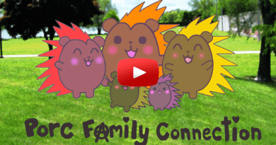 Porc Family Connection | New Hampshire